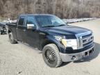 2010 Ford F150 Supercrew продається в Marlboro, NY - Minor Dent/Scratches