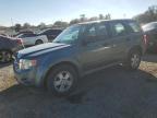 2012 Ford Escape Xls للبيع في Riverview، FL - Front End