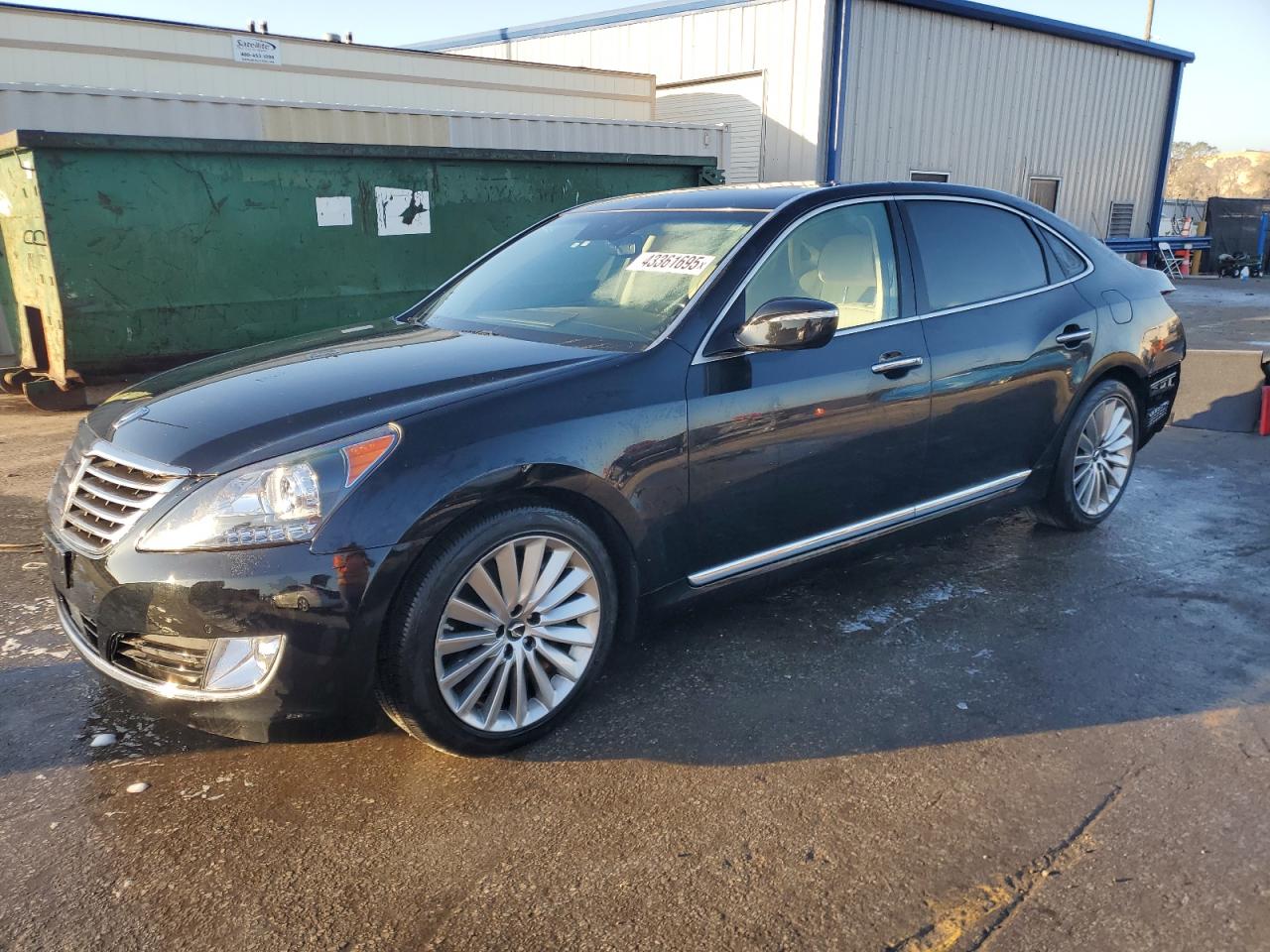 2016 Hyundai Equus Signature for Sale in Orlando, FL - Rear End