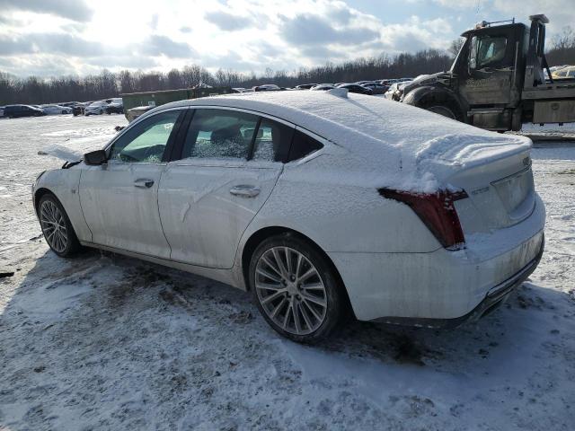  CADILLAC CT5 2020 Белы