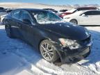 2008 Lexus Is 250 продається в Littleton, CO - Hail