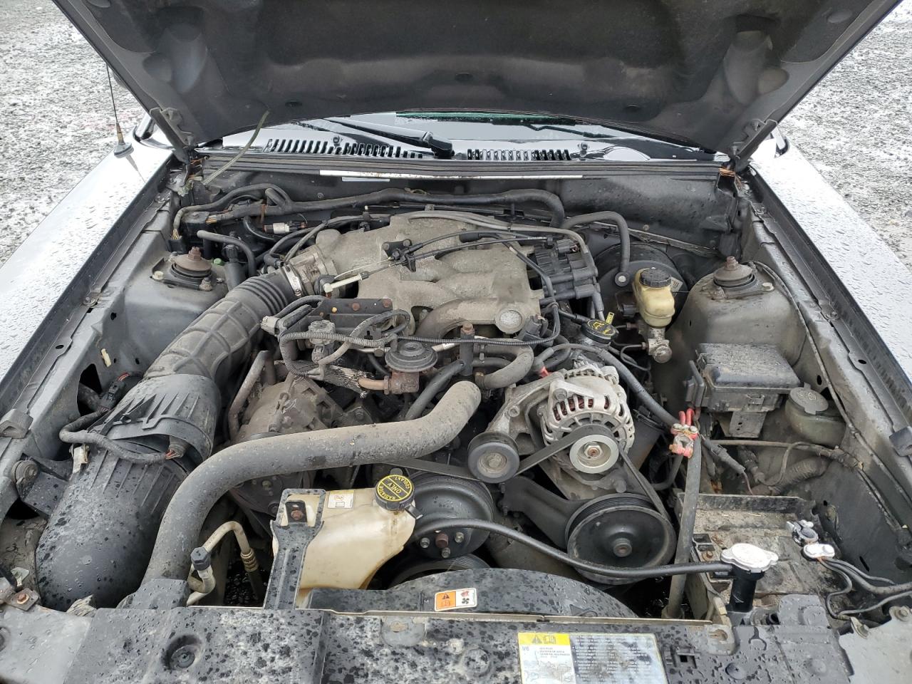 2004 Ford Mustang - Image 11