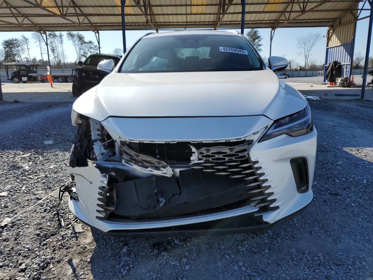 2024 Lexus RX - Image 5