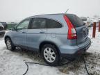 2007 Honda Cr-V Exl for Sale in Wayland, MI - Rear End