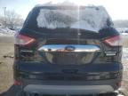 2014 Ford Escape Titanium for Sale in Louisville, KY - Minor Dent/Scratches