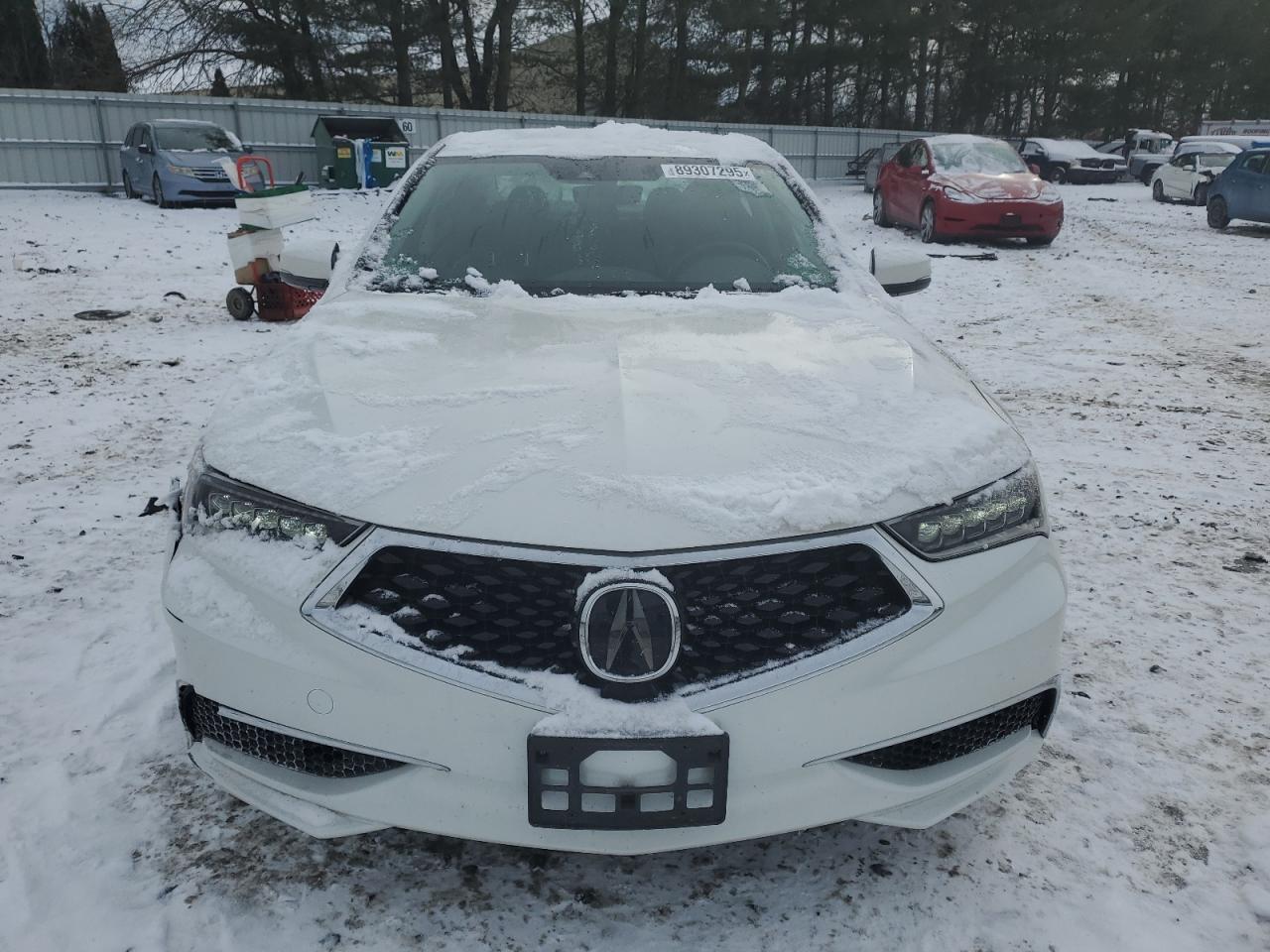 2019 Acura TLX - Image 5