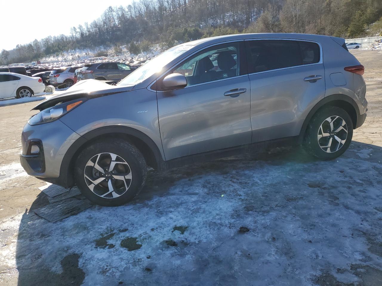 2022 Kia Sportage - Image 1