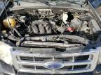 2008 Ford Escape Xlt for Sale in Arcadia, FL - All Over