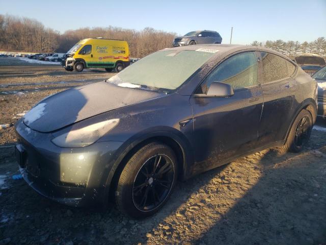  TESLA MODEL Y 2023 Серый