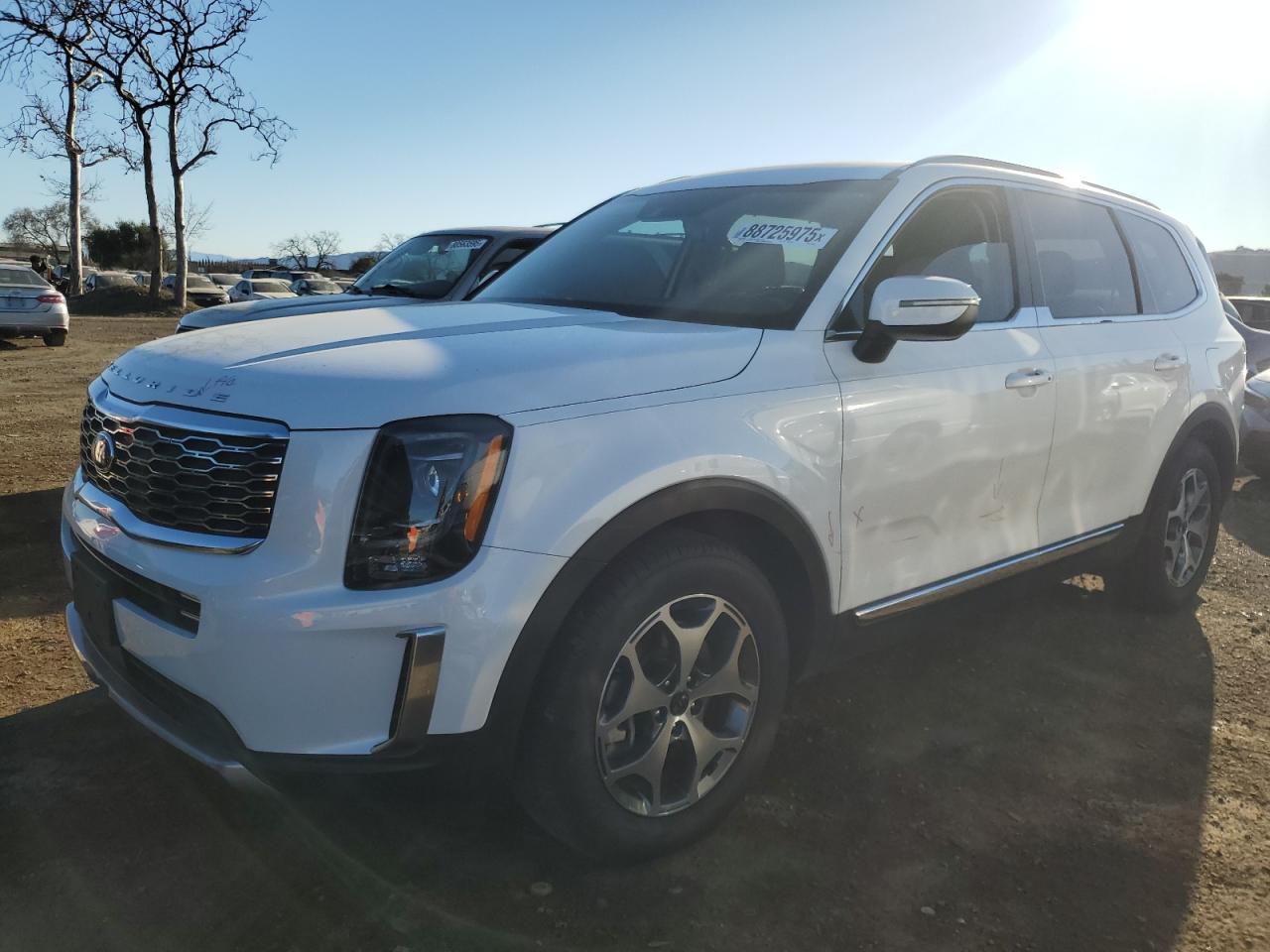 5XYP34HC4LG049793 2020 KIA TELLURIDE - Image 1