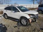 2011 Honda Cr-V Se продається в Windsor, NJ - Front End