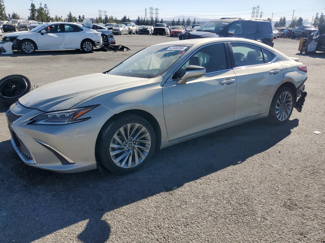 2021 Lexus ES - Image 1