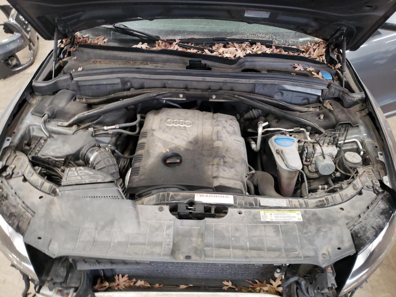 2012 Audi Q5 Premium VIN: WA1CFAFP1CA015265 Lot: 42771975