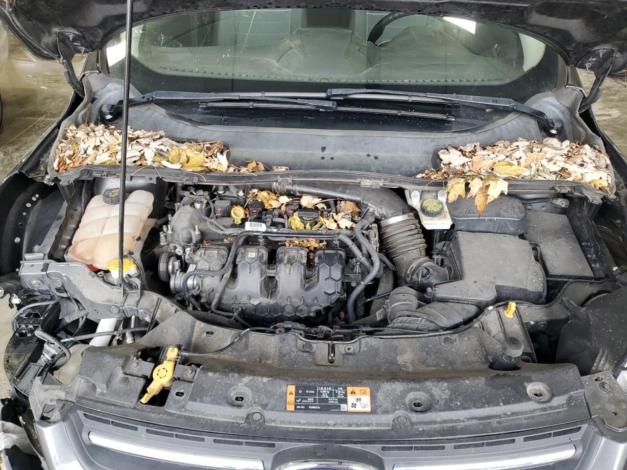 2015 Ford Escape - Image 12