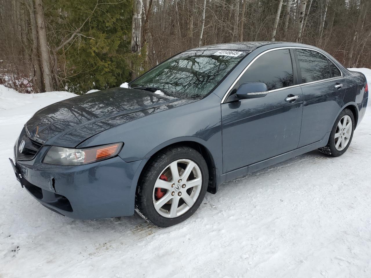 2005 Acura TSX - Image 1
