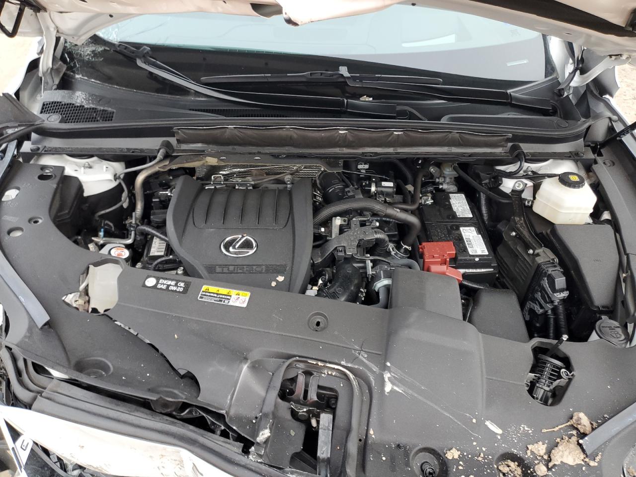 2023 Lexus RX - Image 13