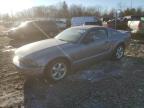 2007 Ford Mustang  იყიდება Chalfont-ში, PA - Side