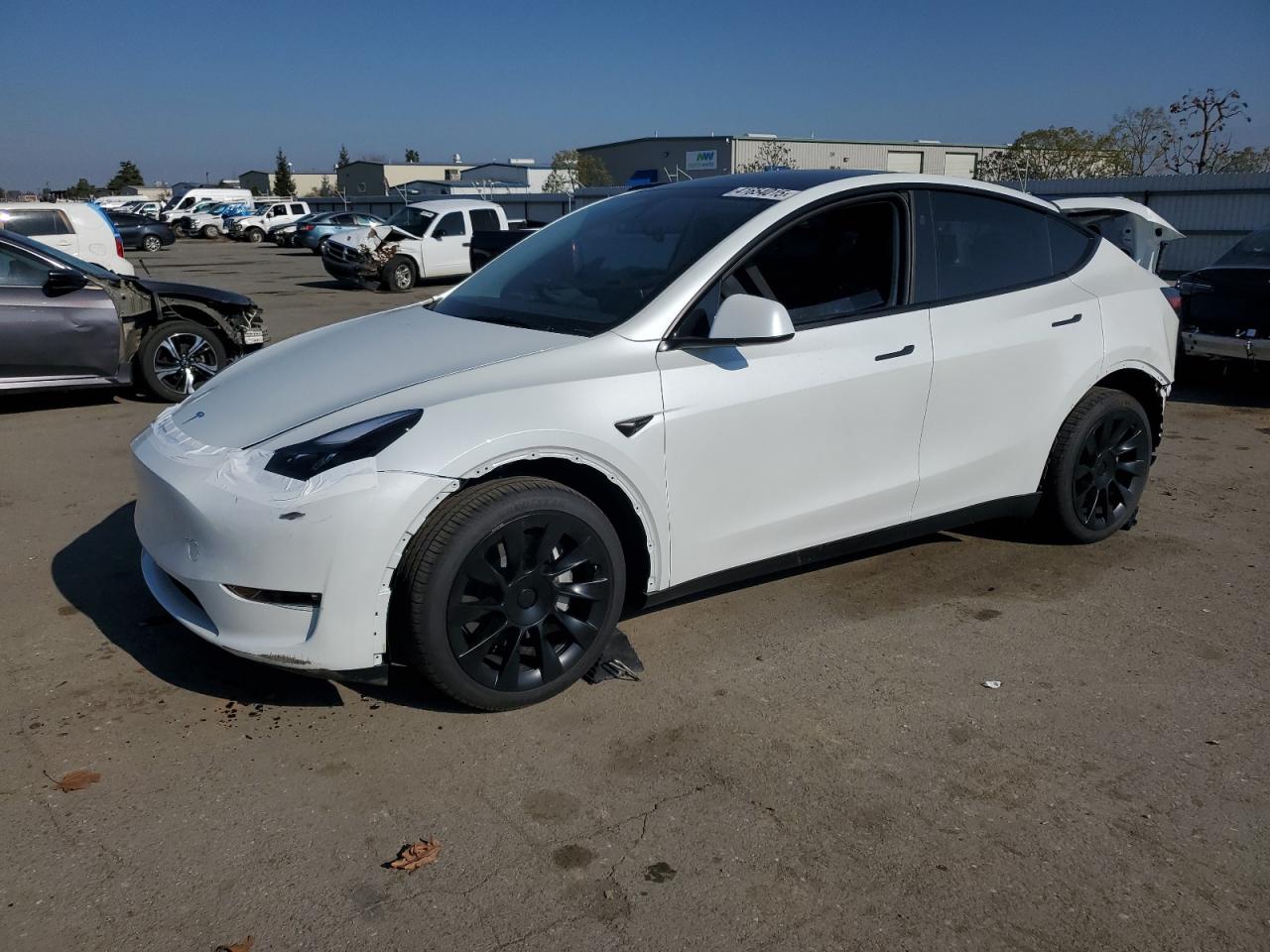 VIN 7SAYGDEE4RF164976 2024 TESLA MODEL Y no.1