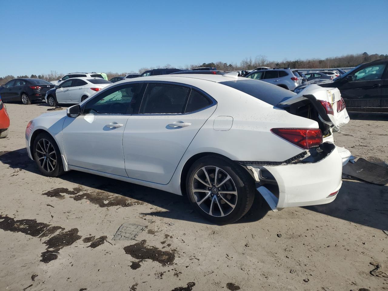 2015 Acura TLX - Image 2