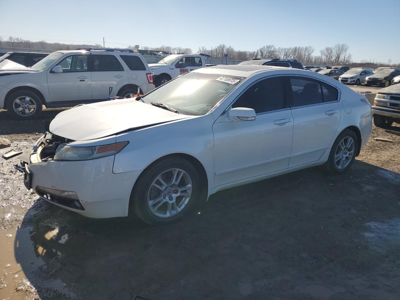 2010 Acura Tl  en Venta en Kansas City, KS - Front End