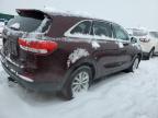 Brighton, CO에서 판매 중인 2017 Kia Sorento Lx - Rear End