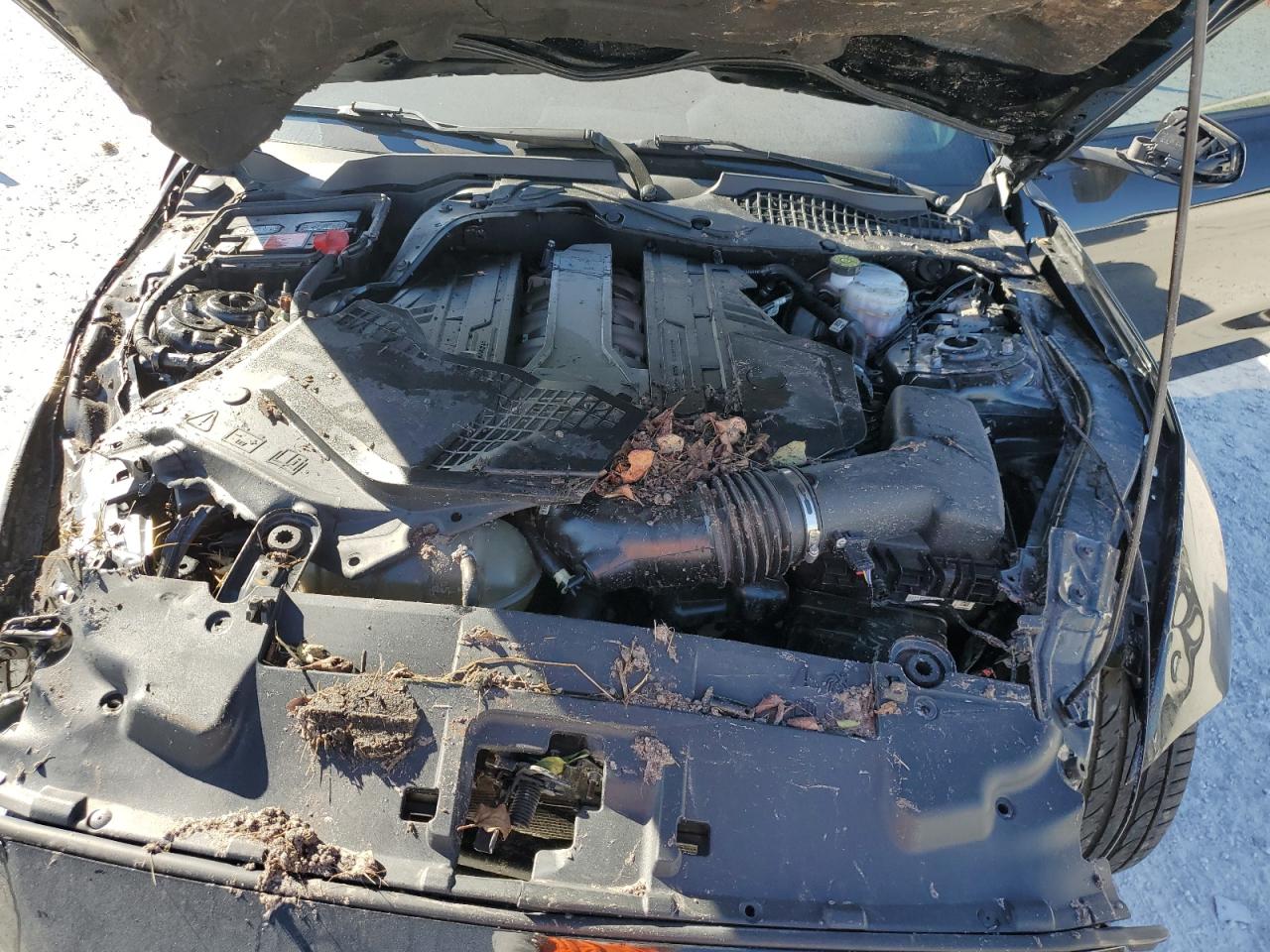 2020 Ford Mustang Gt VIN: 1FA6P8CFXL5187135 Lot: 87247044