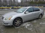 2005 Nissan Maxima Se იყიდება Waldorf-ში, MD - Minor Dent/Scratches
