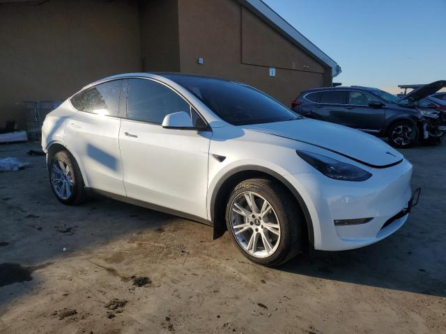  TESLA MODEL Y 2023 Белый