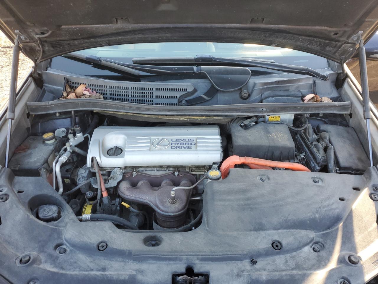 2010 Lexus HS - Image 11