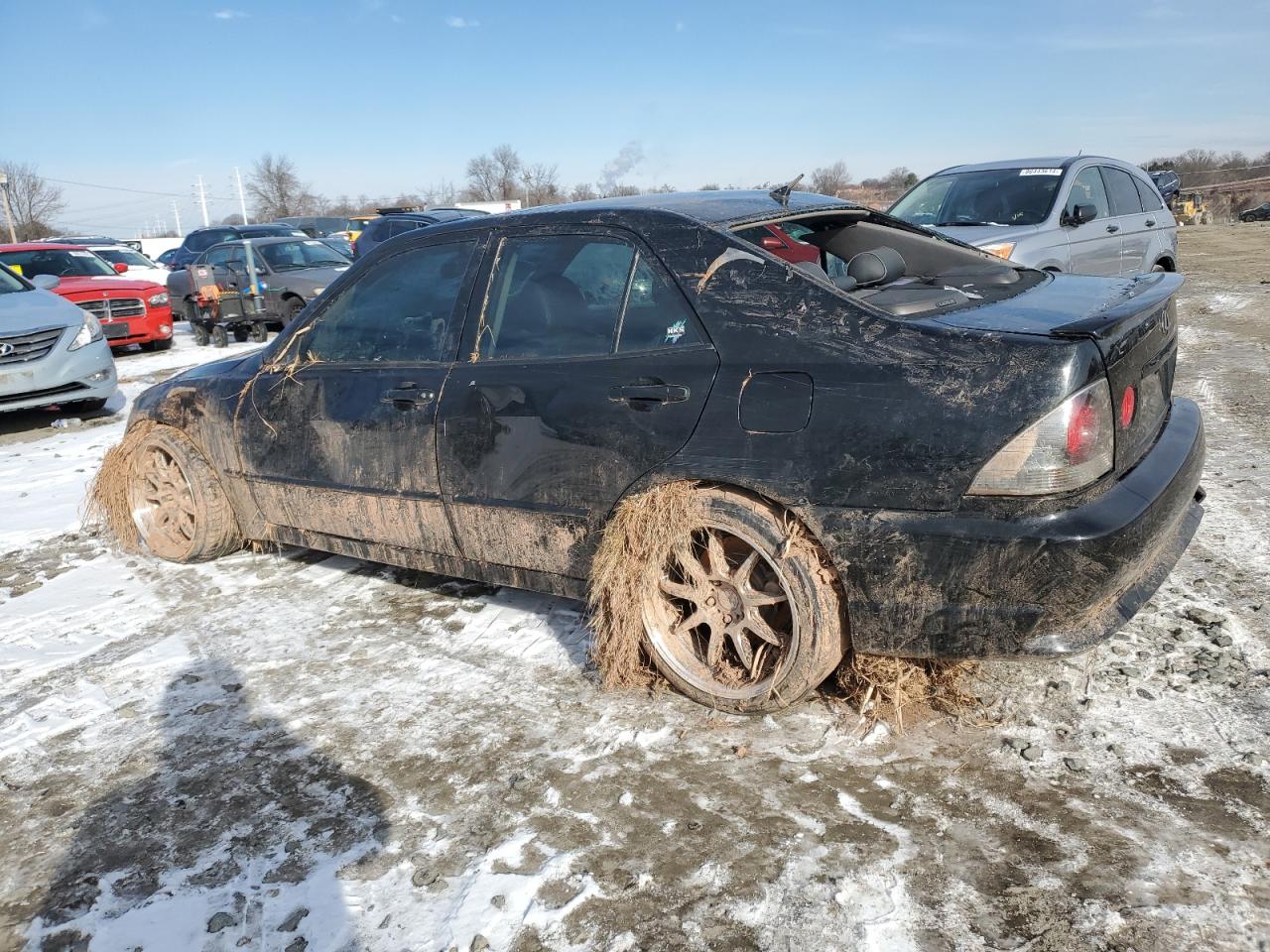 2004 Lexus IS - Image 2