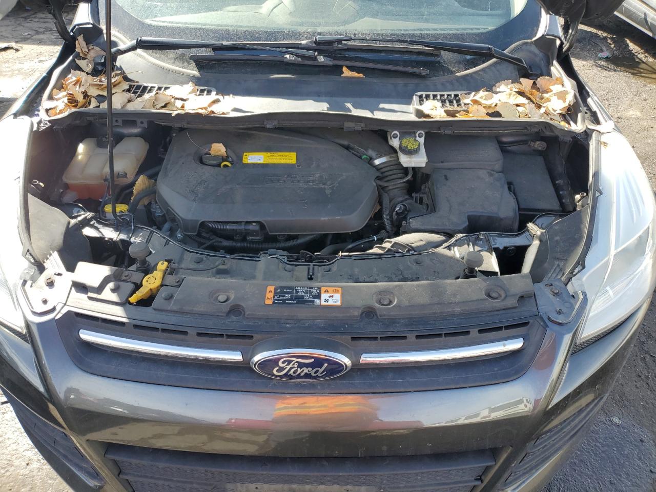 2015 Ford Escape - Image 12