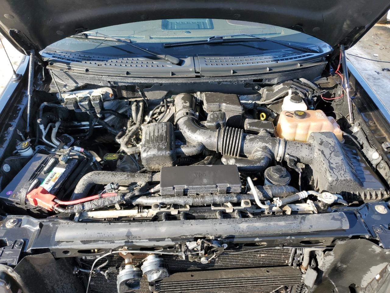 2010 Ford F-150 - Image 11