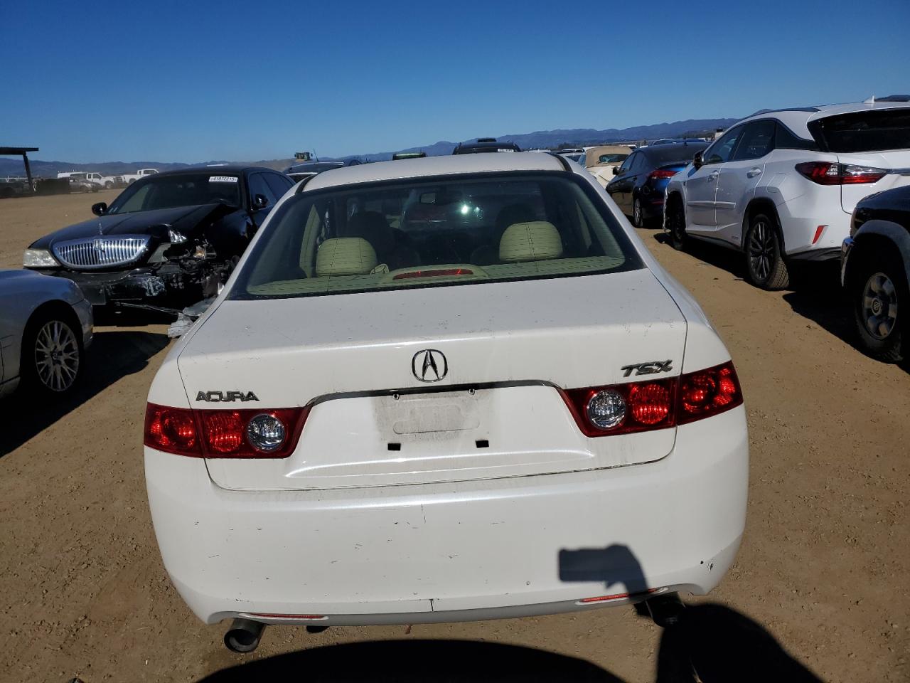 2004 Acura TSX - Image 6