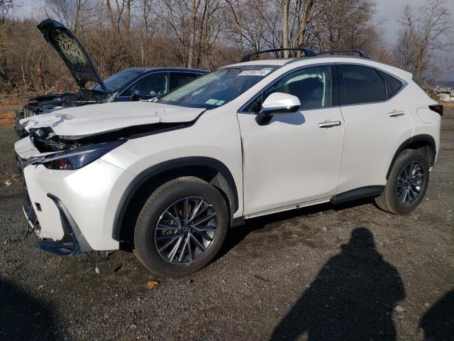  LEXUS NX 350H BA 2024 Білий