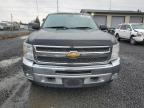 2012 Chevrolet Silverado K1500 Lt продається в Eugene, OR - Rear End