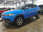 2022 Jeep Compass Trailhawk for Sale in Ham Lake, MN - Front End