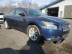 2012 Nissan Maxima S de vânzare în East Granby, CT - Front End