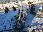 2000 Kawasaki Vn1500 E продається в Elgin, IL - Minor Dent/Scratches