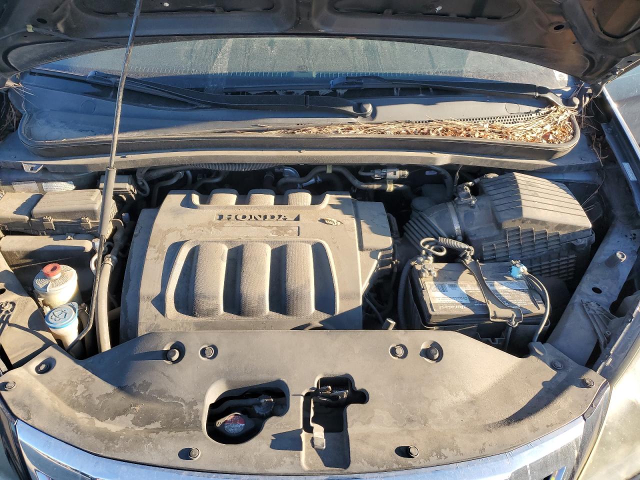 2010 Honda Odyssey - Image 12