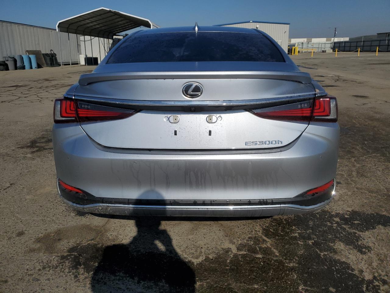 2024 Lexus ES - Image 6
