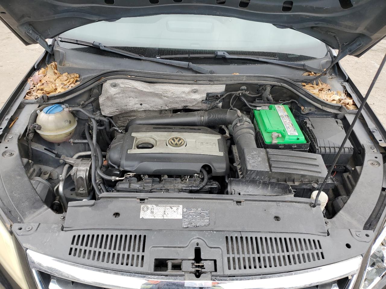 2009 Volkswagen Tiguan - Image 11