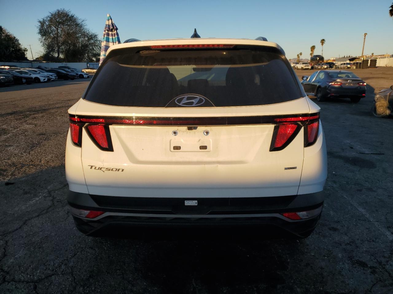 2024 Hyundai Tucson - Image 6