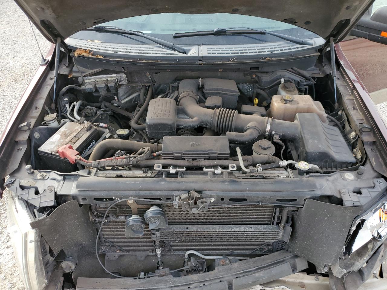 2010 Ford F-150 - Image 11