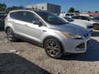 2013 Ford Escape Sel продається в Opa Locka, FL - Rear End