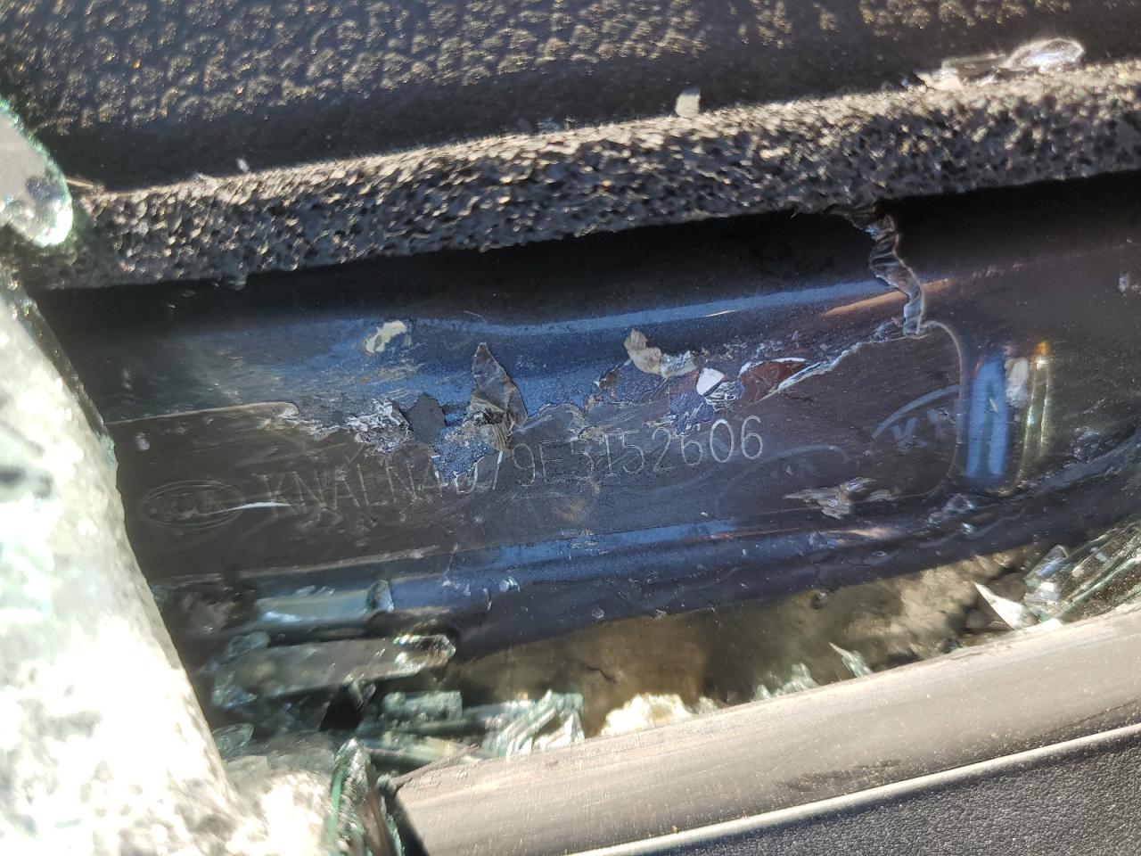 2014 Kia Cadenza Premium VIN: KNALN4D79E5152606 Lot: 88441315