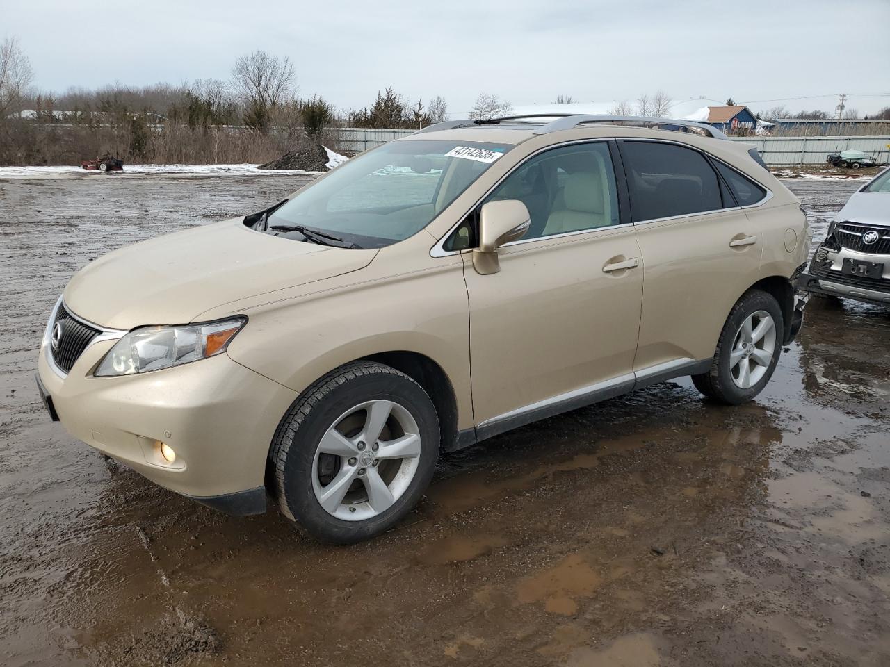 2010 Lexus RX - Image 1