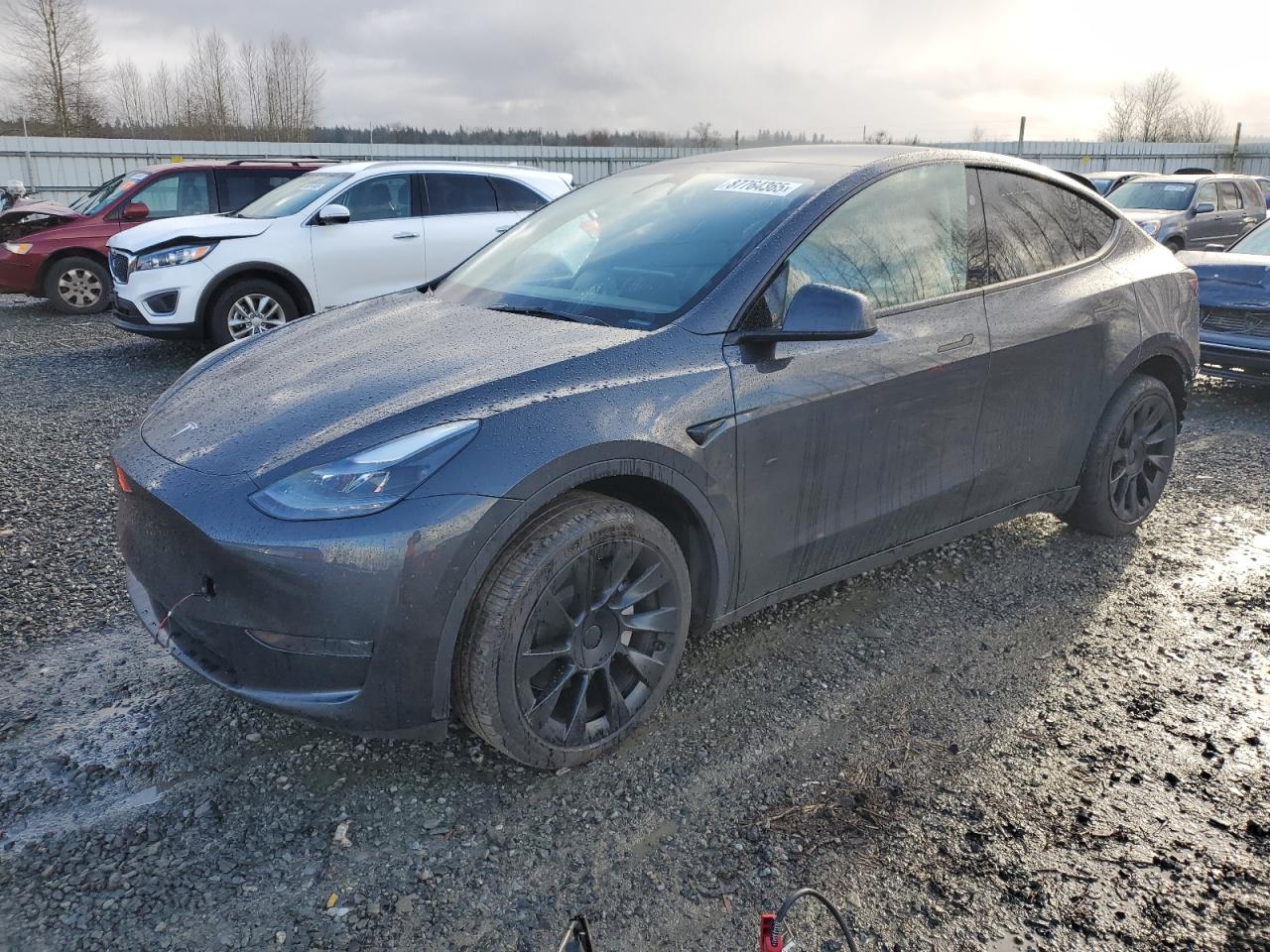 VIN 7SAYGDED9RF003935 2024 TESLA MODEL Y no.1