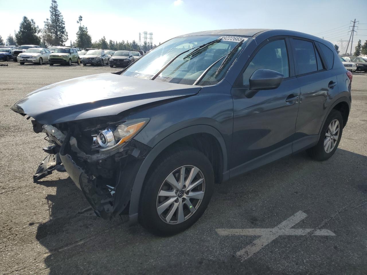 VIN JM3KE2CE8D0113687 2013 MAZDA CX-5 no.1