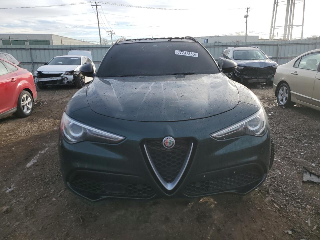 2019 Alfa Romeo Stelvio - Image 5