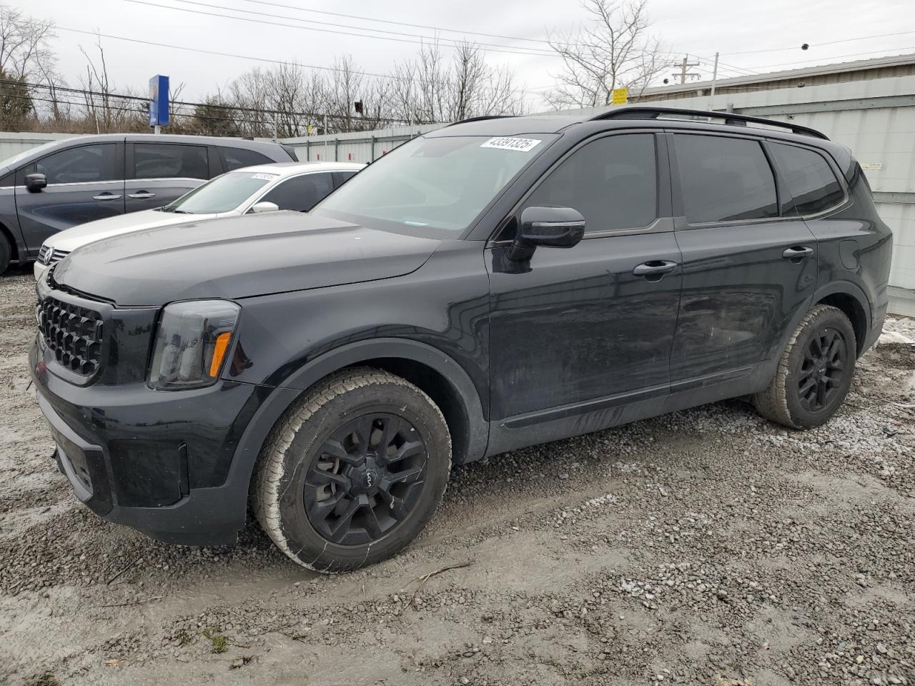 2024 Kia Telluride - Image 1